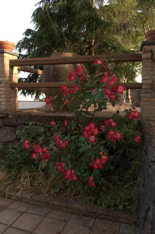 Pachamama Villa Nicolosi Bagian luar foto