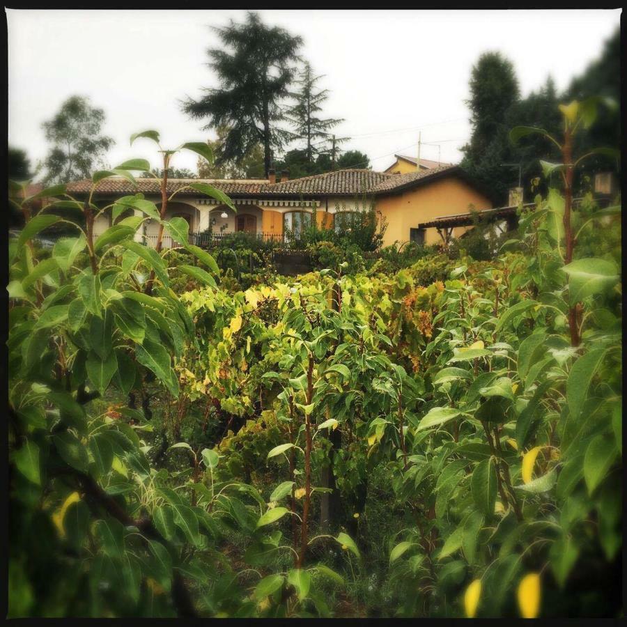 Pachamama Villa Nicolosi Bagian luar foto